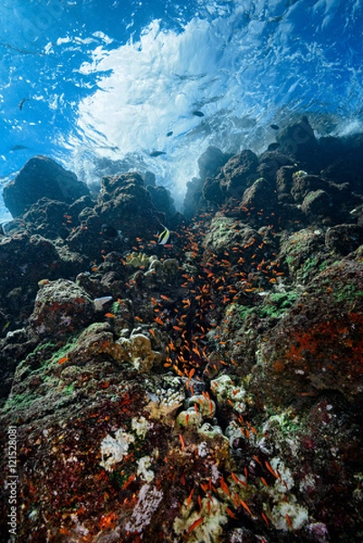 Fototapeta Batee Tokong