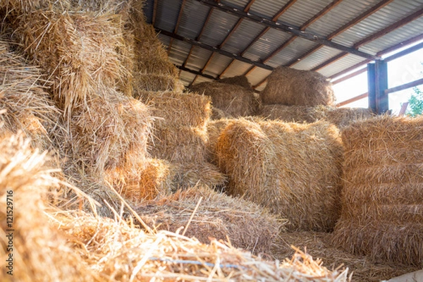Obraz Hay stacks storage at farm haylof