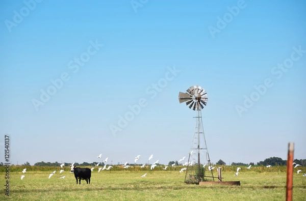 Fototapeta Vernon, TX