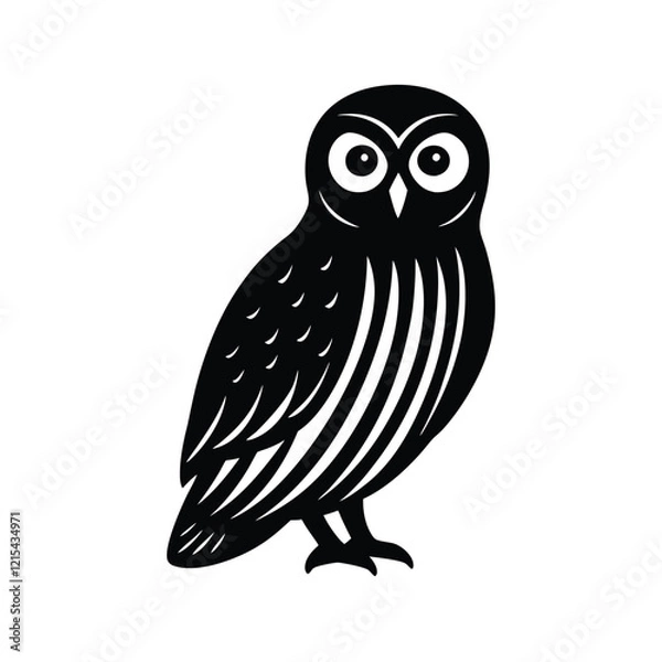 Obraz a barred owl on vector illustration
