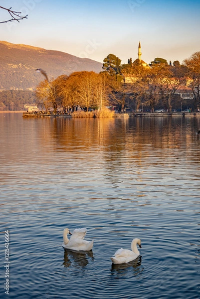 Fototapeta Two graceful white swans swimming in the lake of Ioannina, Greece. Snow covered mountains in the background and the minaret of Aslan Pasha Mosque.