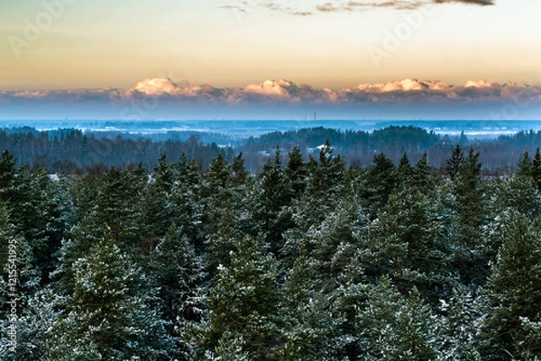 Obraz sunset over the forest