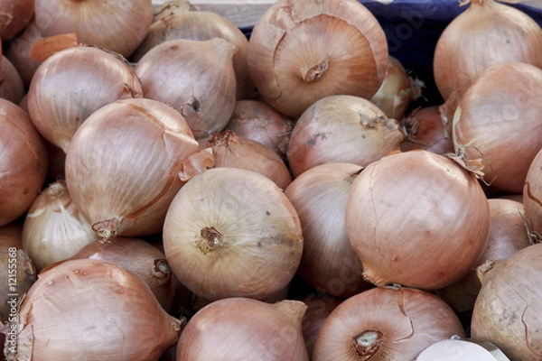 Fototapeta oignons du marché
