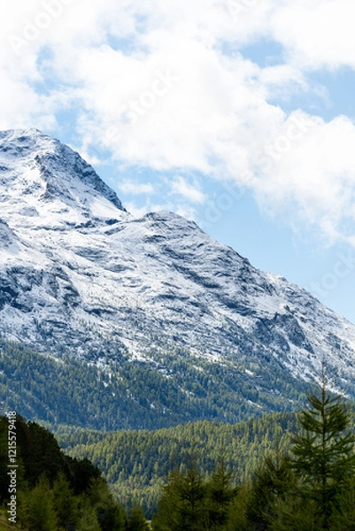Obraz snow covered mountains