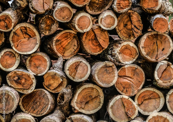 Fototapeta Timber for background.