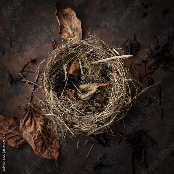 Fototapeta Birds Nest still life on a dark background taken from overhead. This empty nest has a warm and textural feel with intricate weaving of branches and grasses with added dried leaves.