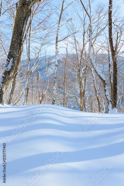 Obraz 未踏の雪景色
