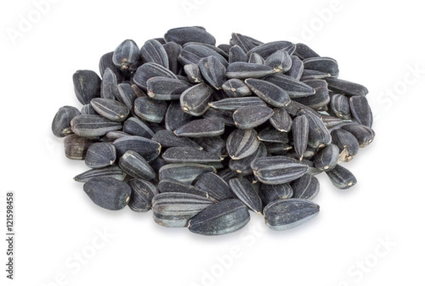 Obraz Small pile of sunflower seeds.