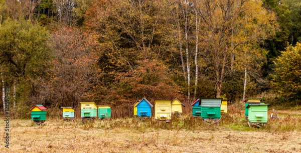 Obraz Colourful beehives.
