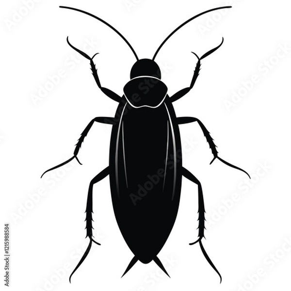 Fototapeta beetle isolated on white