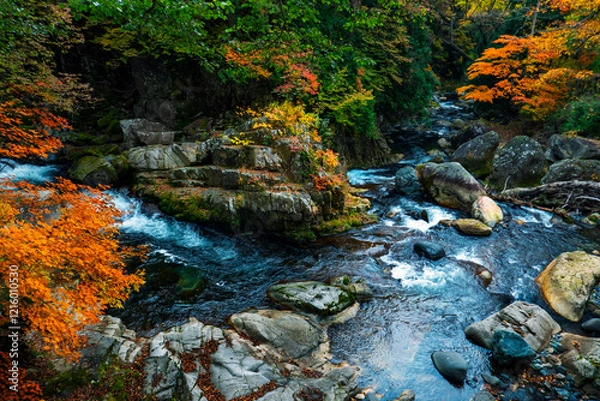 Obraz 渓流