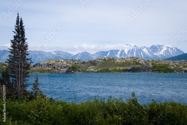 Obraz Lake in Frazer,  Canada with Snowcapped Mountains in Background 