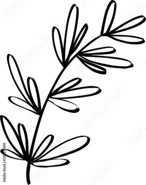 Obraz leaf line art decoration vector