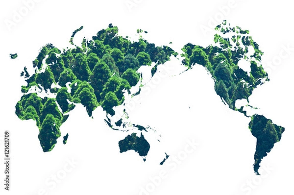 Fototapeta 森林の世界地図