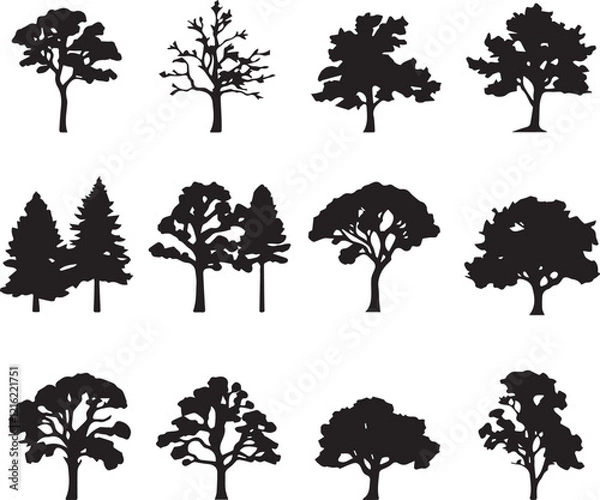 Obraz  tree silhouettes in bold black outlines