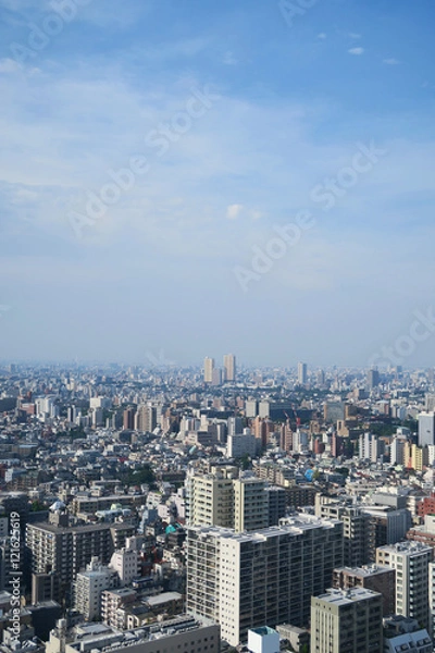 Obraz Tokyo building