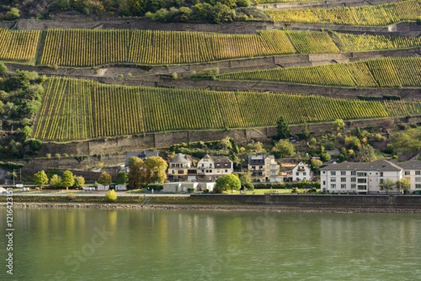 Obraz Green fields on the hill in the daylight in the summer. Little European village near the river with green hills