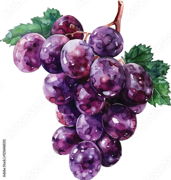 Fototapeta bunch of grapes isolated on white on white background,generative ai
