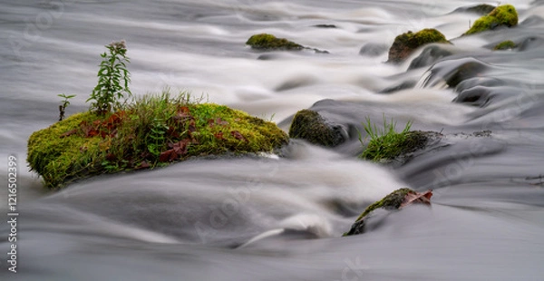 Obraz Island In the stream
