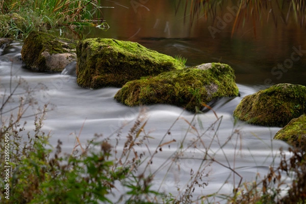 Obraz Island In the stream