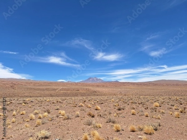 Obraz Désert d'Atacama