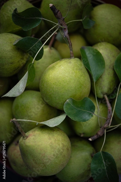 Obraz Green fresh pears