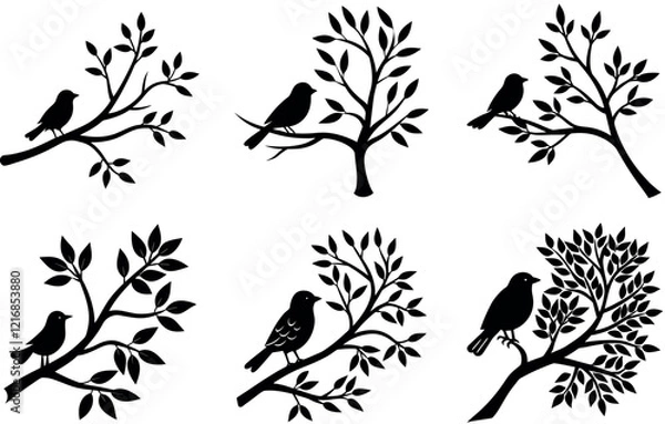 Obraz Silhouette Birds on Branches - Black Vector Illustrations of Birds and Trees