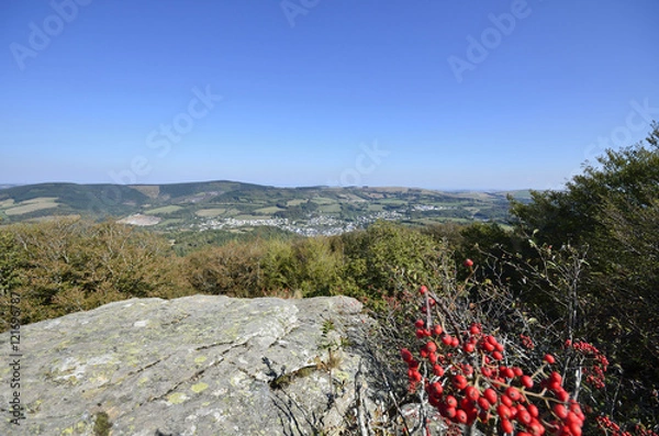 Obraz Lacaune vu d'en haut.