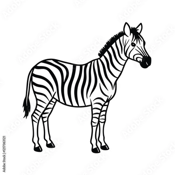 Fototapeta Zebra  vector design on white background