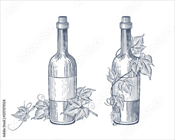 Obraz Hand drawn wine bottles and grape vine. Vector illustration

