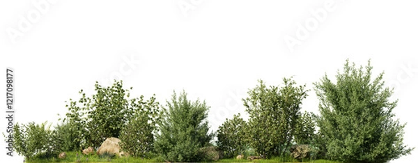 Fototapeta Green Shrubs with rocks on grass on a transparent background