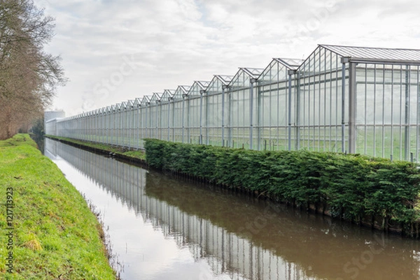 Fototapeta greenhouse with plants