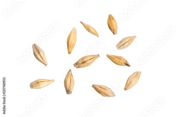 Obraz barley grains on a white background	