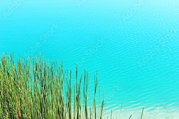 Fototapeta Clean water with ripples on a pond.
