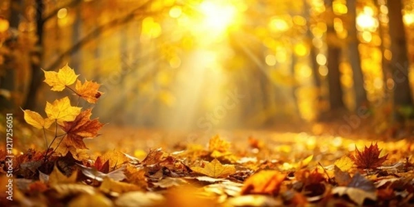 Fototapeta Warm golden light falls on a forest floor covered with vibrant yellow leaves, creating a mesmerizing abstract nature autumn background , autumn, yellow leaves