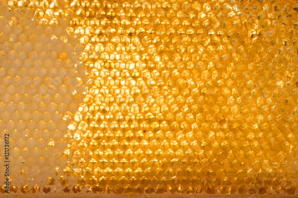 Obraz honeycomb with honey.