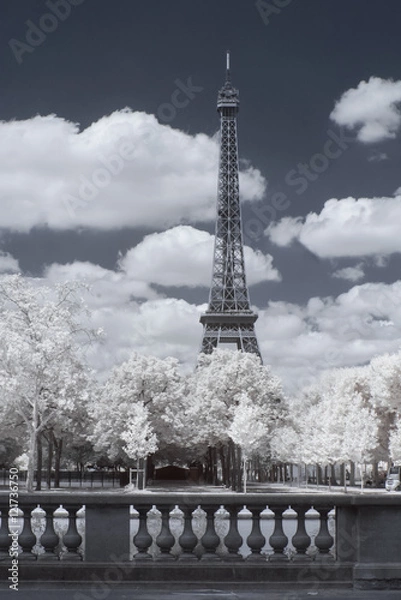 Fototapeta Eiffel tower in infrared