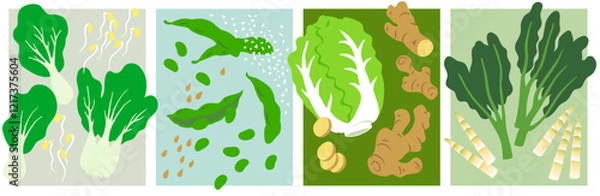 Obraz Asian Vegetable Collection. Bok Choi, beans sprouts, soy beans, edamame beans, Chinese cabbage, ginger root, Chinese broccoli, bamboo shoots.
