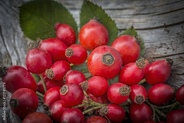Fototapeta rose hips close up