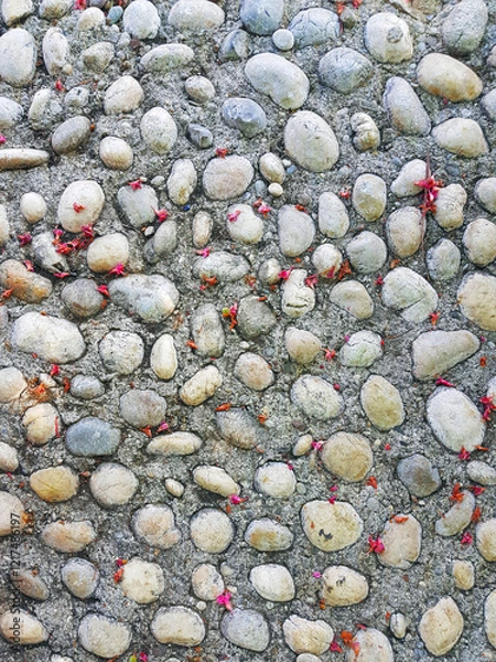 Obraz Stone pathway with scattered pink flower petals