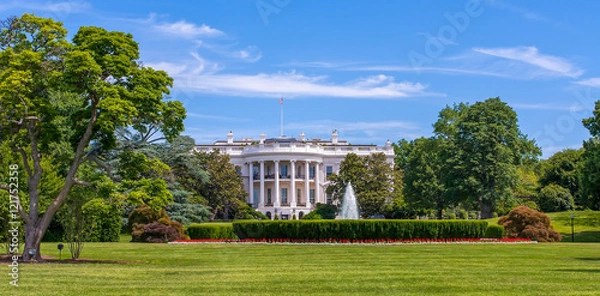 Obraz The White House