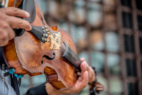 Obraz Mariachi violinist