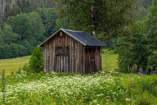 Fototapeta The cottage in Swidish countryside