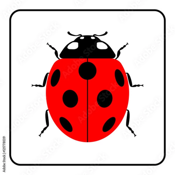 Fototapeta Ladybug small icon. Red lady bug sign, isolated on white background. Wildlife animal design. Cute colorful ladybird. Insect cartoon beetle. Symbol of nature, spring, summer. Vector illustration