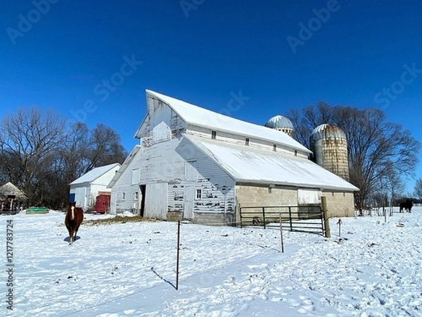 Obraz A very rare and iconic Monitor style Barn in the snow of winter