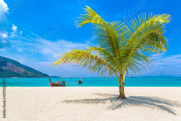 Obraz Single palm tree on beach