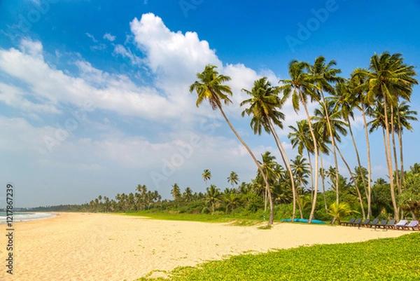 Obraz Shinagawa Beach in Sri Lanka