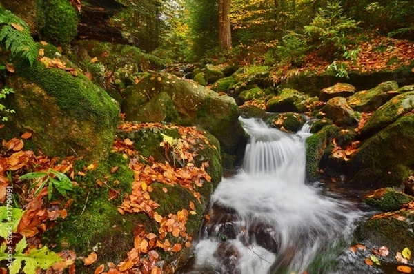 Fototapeta Autumn creek woods with yellow trees foliage and rocks in forest mountain.