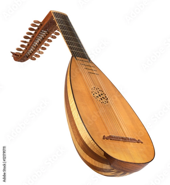 Obraz lute on white background