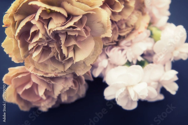 Fototapeta ベージュのカーネーション